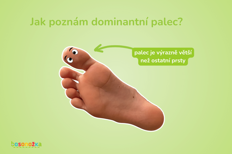 Jak by měly vypadat barefoot boty